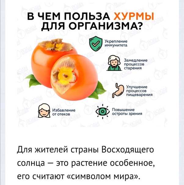 Хурма: польза и вред для организма и как правильно выбрать и есть
