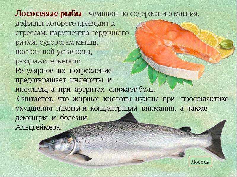 🚩 в чем отличие лосося и семги: какая рыба вкуснее и полезнее