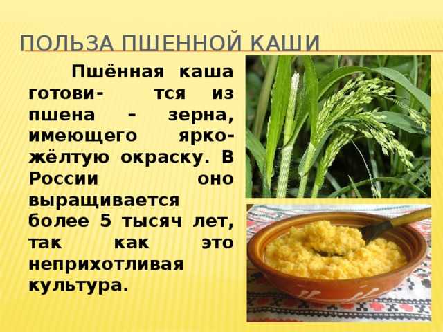 Пшенная каша: польза и вред, рецепты приготовления
