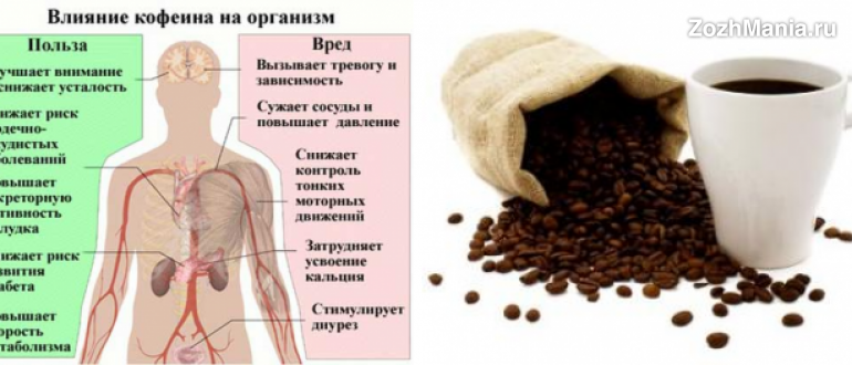 Кофе для похудения — 5 механизмов, с помощью которых он способствует сжиганию жира, ускоряет метаболизм и снижает аппетит