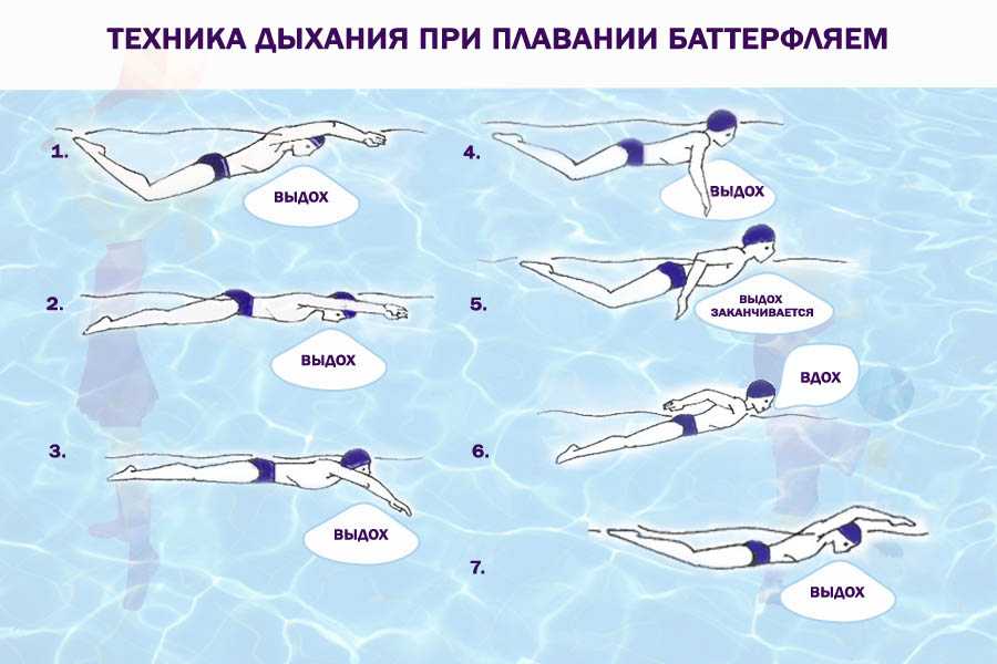 Баттерфляй — особенности выполнения техники и дыхания