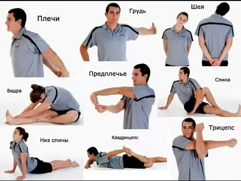 Самые эффективные упражнения для растяжки ног | rulebody.ru — правила тела