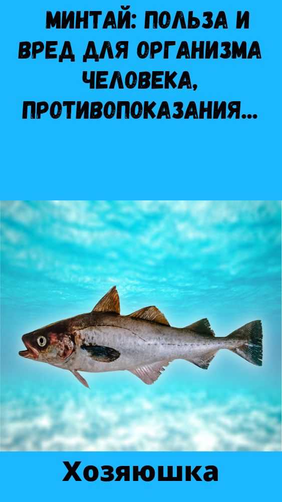 Минтай: какие вещества присутствуют в составе. польза и вред от его употребления минтая, калорийность блюд из него
