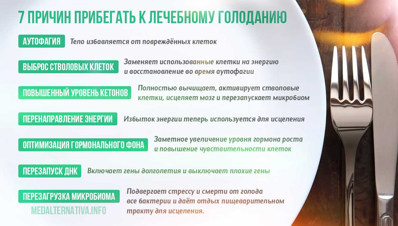 6 типов интервального голодания, чтобы быстро похудеть. выберите свой