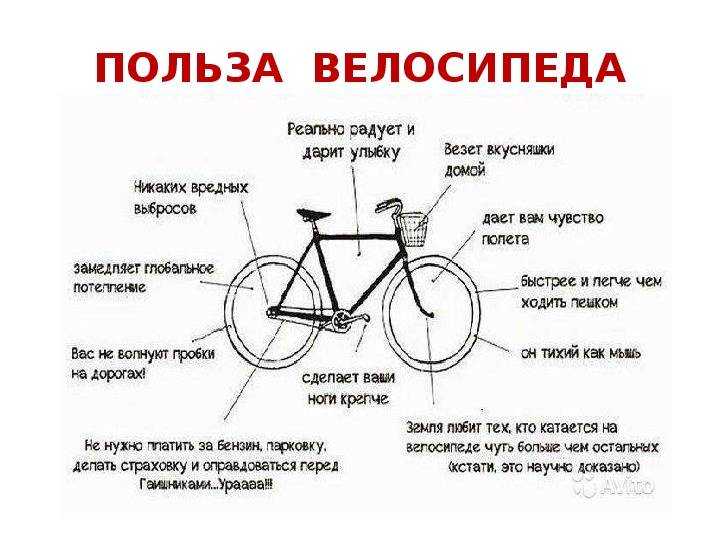 Если 1час ездить на велосипеде, какие мышцы качаются. прокачка туловища | школа красоты