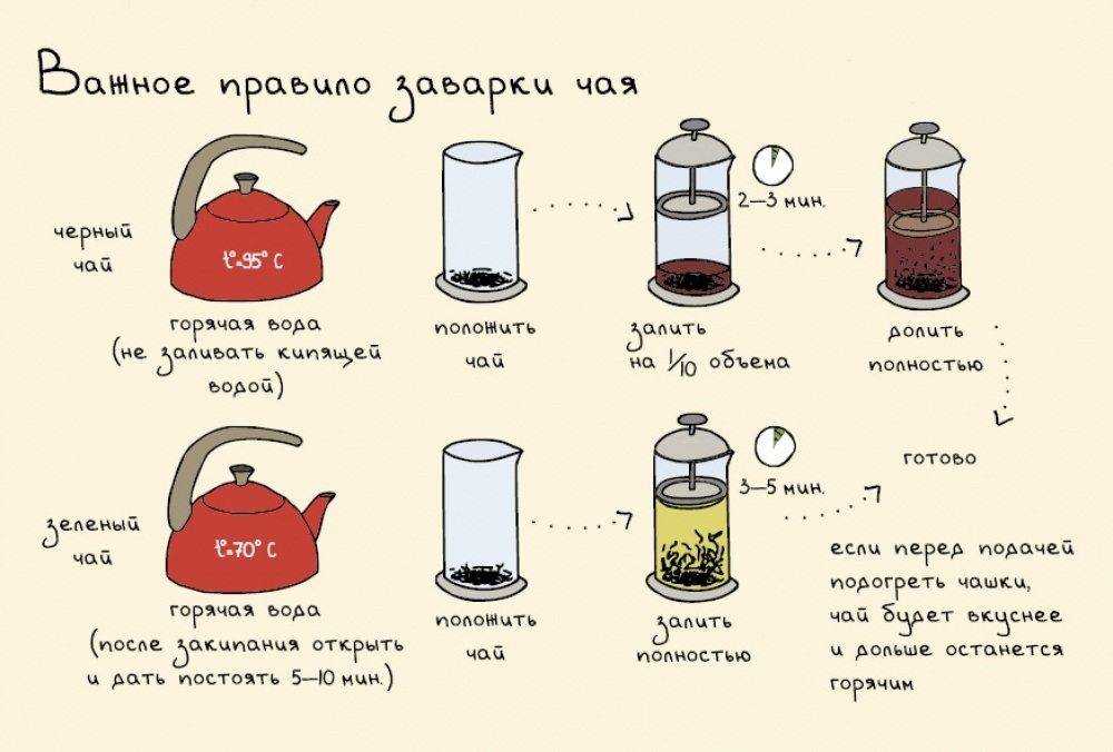 22 полезные добавки к чаю 🌱 → диетические → chef.tm — лучшие рецепты