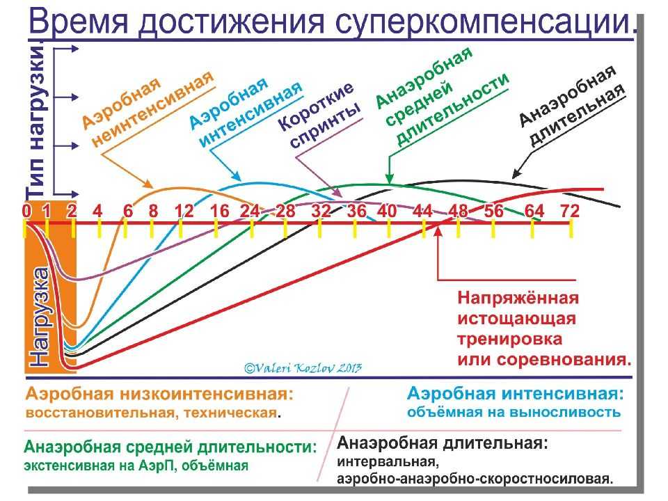 Суперкомпенсация: что это такое в спорте, как правильно построить тренировку и восстановление