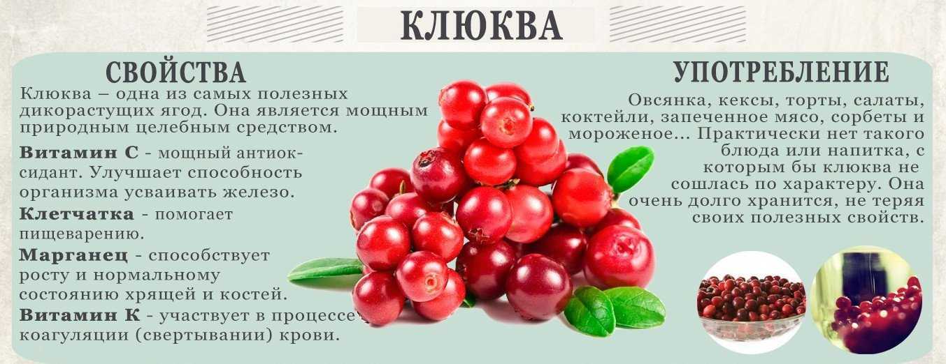 9 вкусных и полезных рецептов морса из клюквы