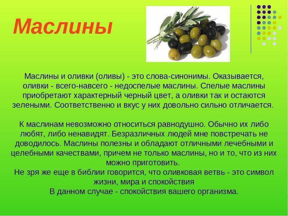 Консервированные оливки - польза и вред для организма