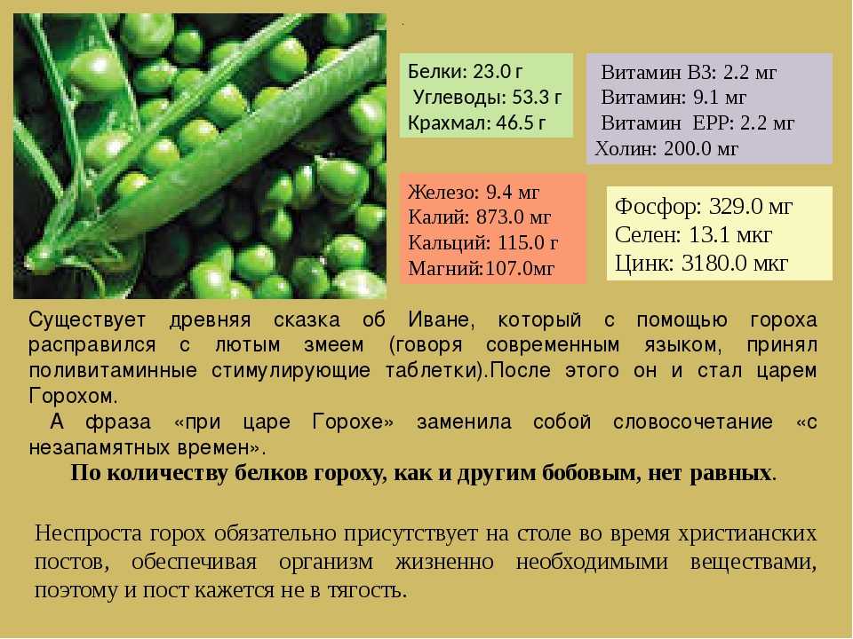 Полезные свойства гороха и вредные для организма