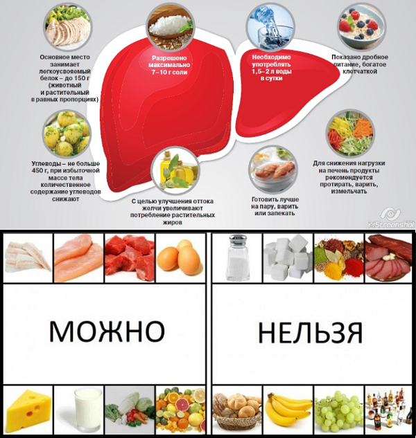 Продукты, которые рекомендуется употреблять каждый день