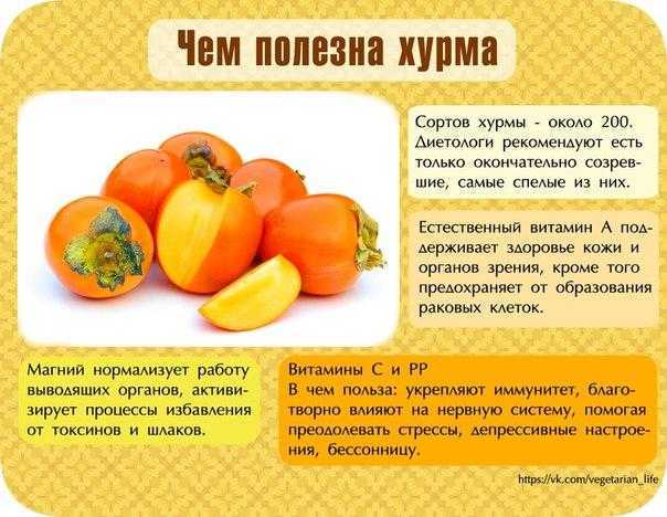 Чем полезна хурма для организма женщин и мужчин — подробный обзор свойств и химического состава
