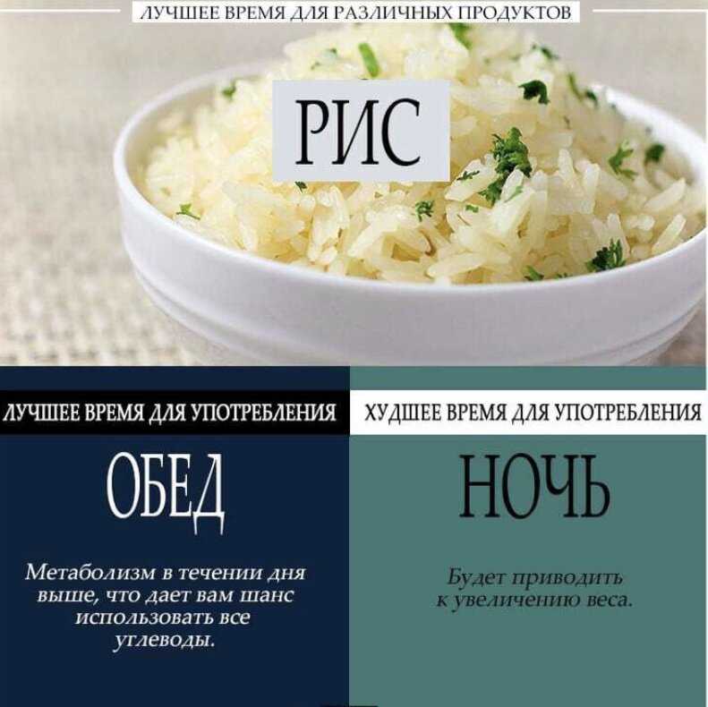 Вся правда о пользе и вреде яблок