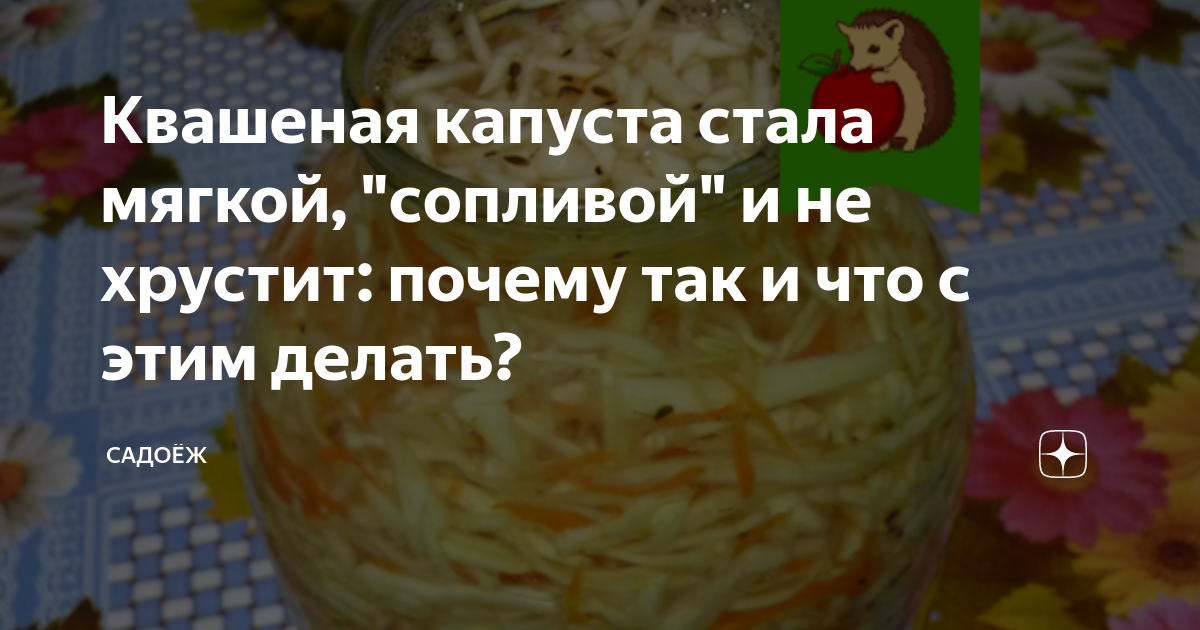 Квашеная капуста: польза и вред для организма, при похудении, калорийность на 100 грамм, витамины | xn--90acxpqg.xn--p1ai
