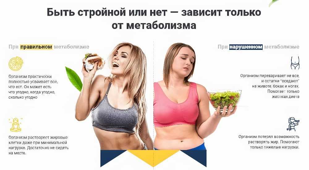 Ускорение обмена веществ: план по ускорению метаболизма и программа питания