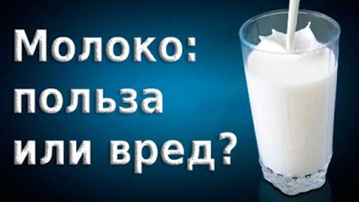 Интересные факты о молоке: топ-10