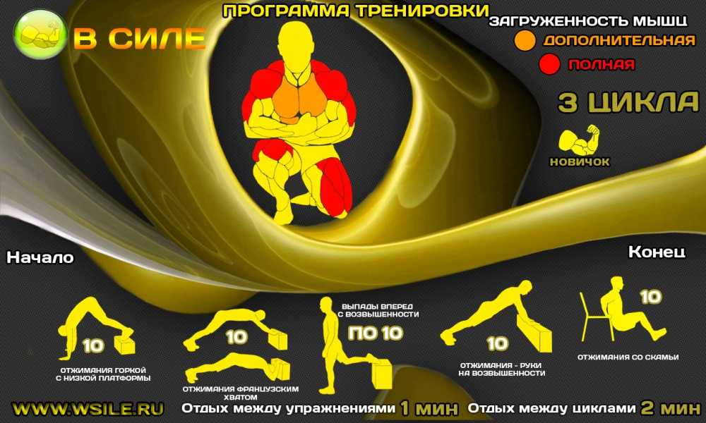 Тренировки кроссфит для начинающих