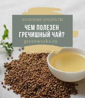 Гречишный чай: польза и как его правильно заваривать