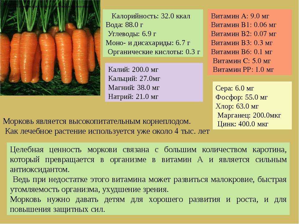 Калорийность моркови: состав, бжу, ценность