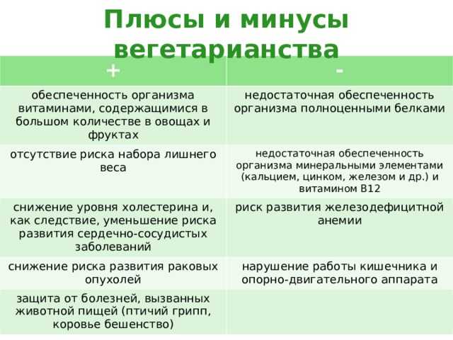 Заменитель мяса для вегетарианцев. продукты с большим содержанием белка | школа красоты