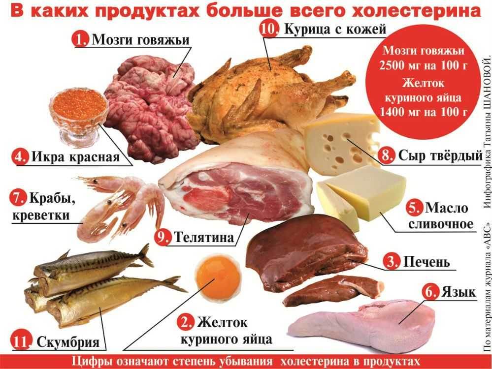 Польза и вред яичных продуктов в питании человека - всё для пользы
