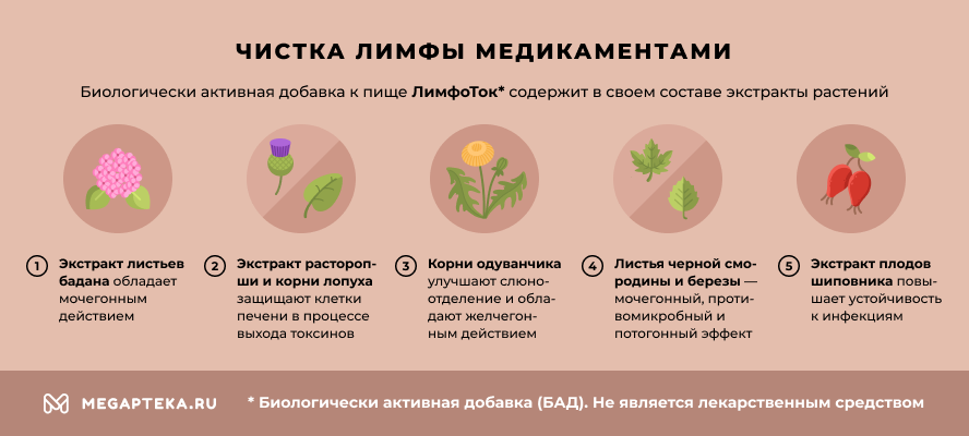 11 лучших дренажных напитков – рейтинг 2024 года – топ