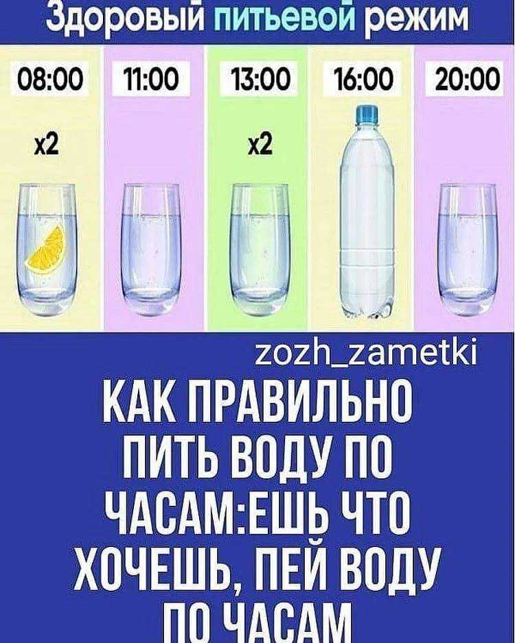 Детокс-вода: 25 лучших рецептов для быстрого похудения | женский журнал мэджик леди сайт для женщин