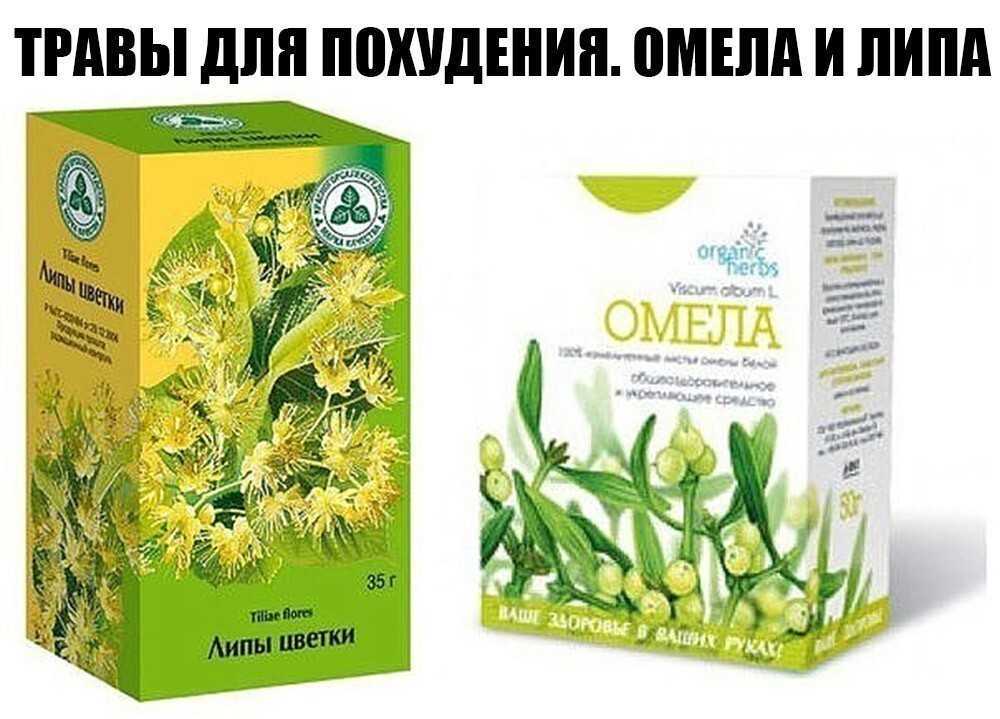 Чай похудей: отзывы от худеющих людей, состав чайного напитка