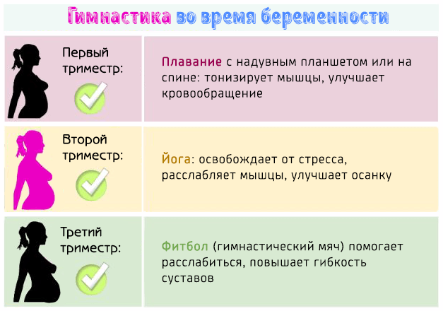 Фитнес для беременных по триместрам. можно ли заниматься спортом беременным и гимнастика в домашних условиях