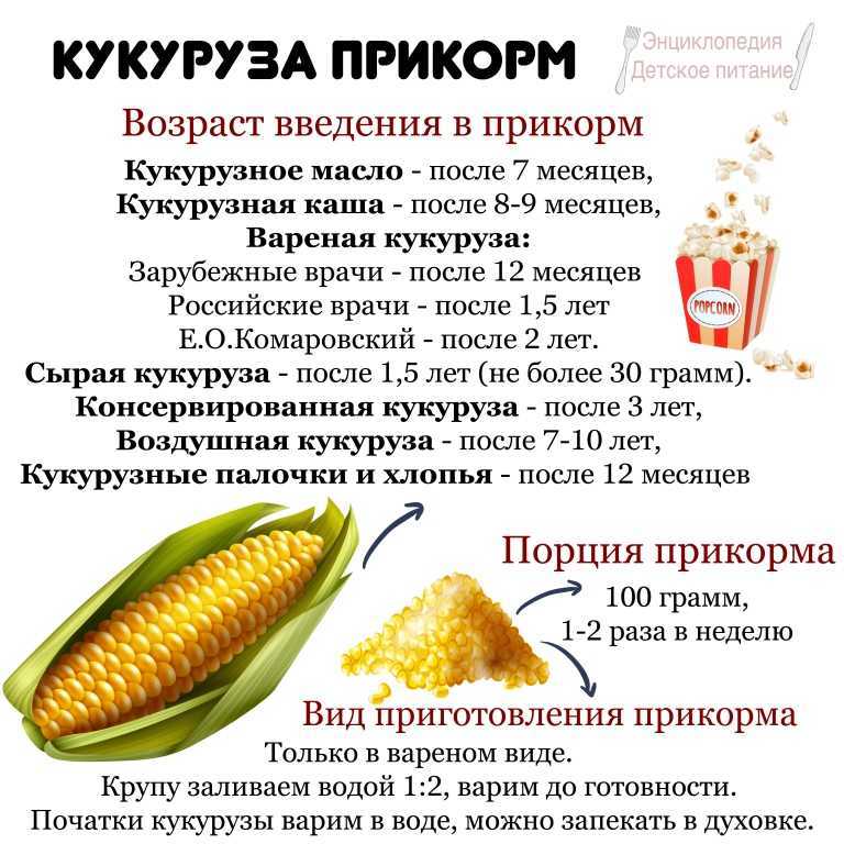Кукуруза: состав, польза, вред, рецепты