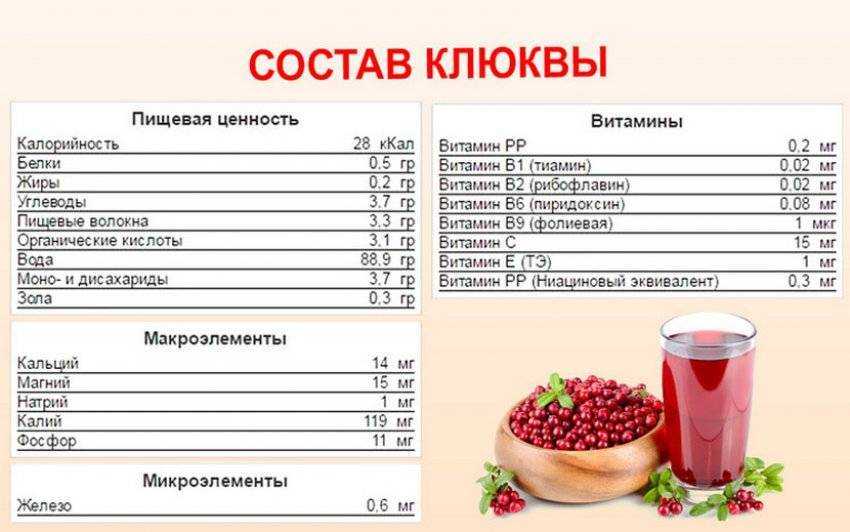 Чем полезен клюквенный морс уникальный состав Несомненная польза морса из клюквы возможный вред и противопоказания