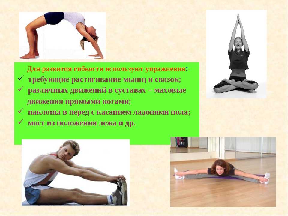 Комплексы упражнений на развитие гибкости. 2 простых комплекса для женщин и мужчин разных возрастов