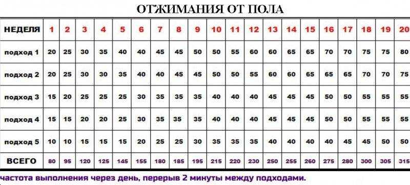 Бодибилдинг: с чего начать и как добиться хорошего результата?