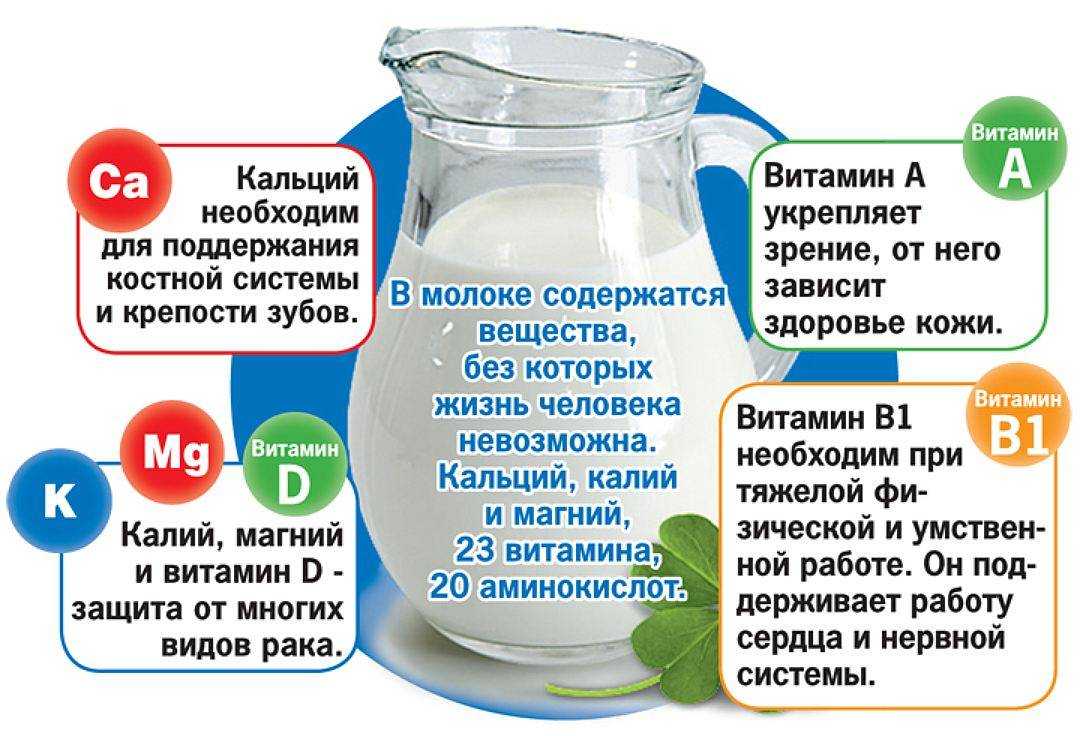 Продукты, которые рекомендуется употреблять каждый день :: инфониак