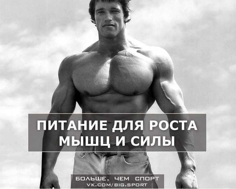 Как растут и почему не растут мышцы после тренировки