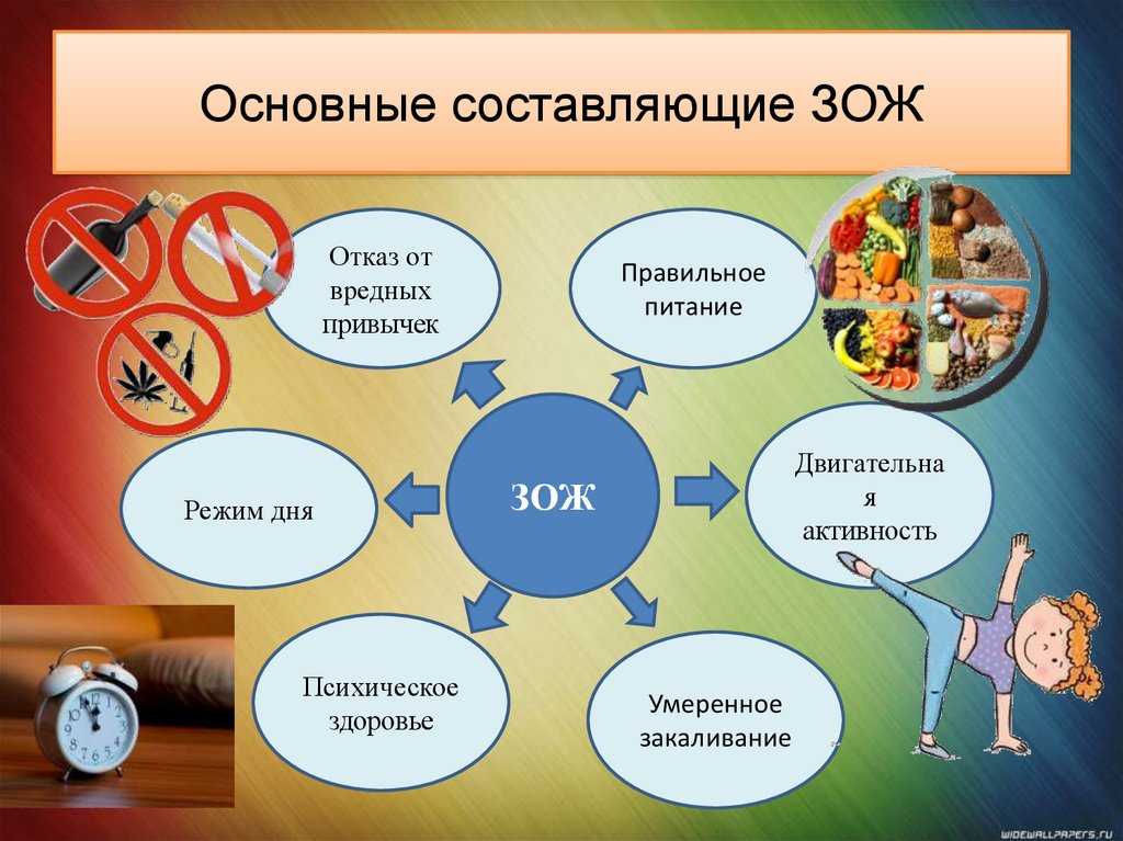 Личный опыт: как похудеть на 60 кг и не помешаться на здоровой еде. как я похудел на 60 кг.