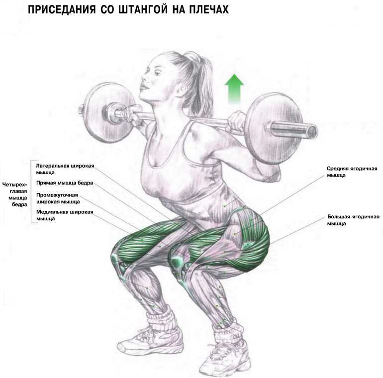Как правильно приседать: чтобы накачать попу и ноги - техника