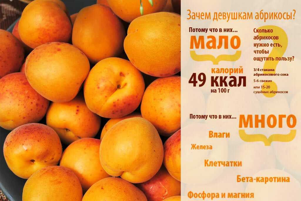 Нектарин — что это за фрукт. польза и вред для здоровья, калорийность.