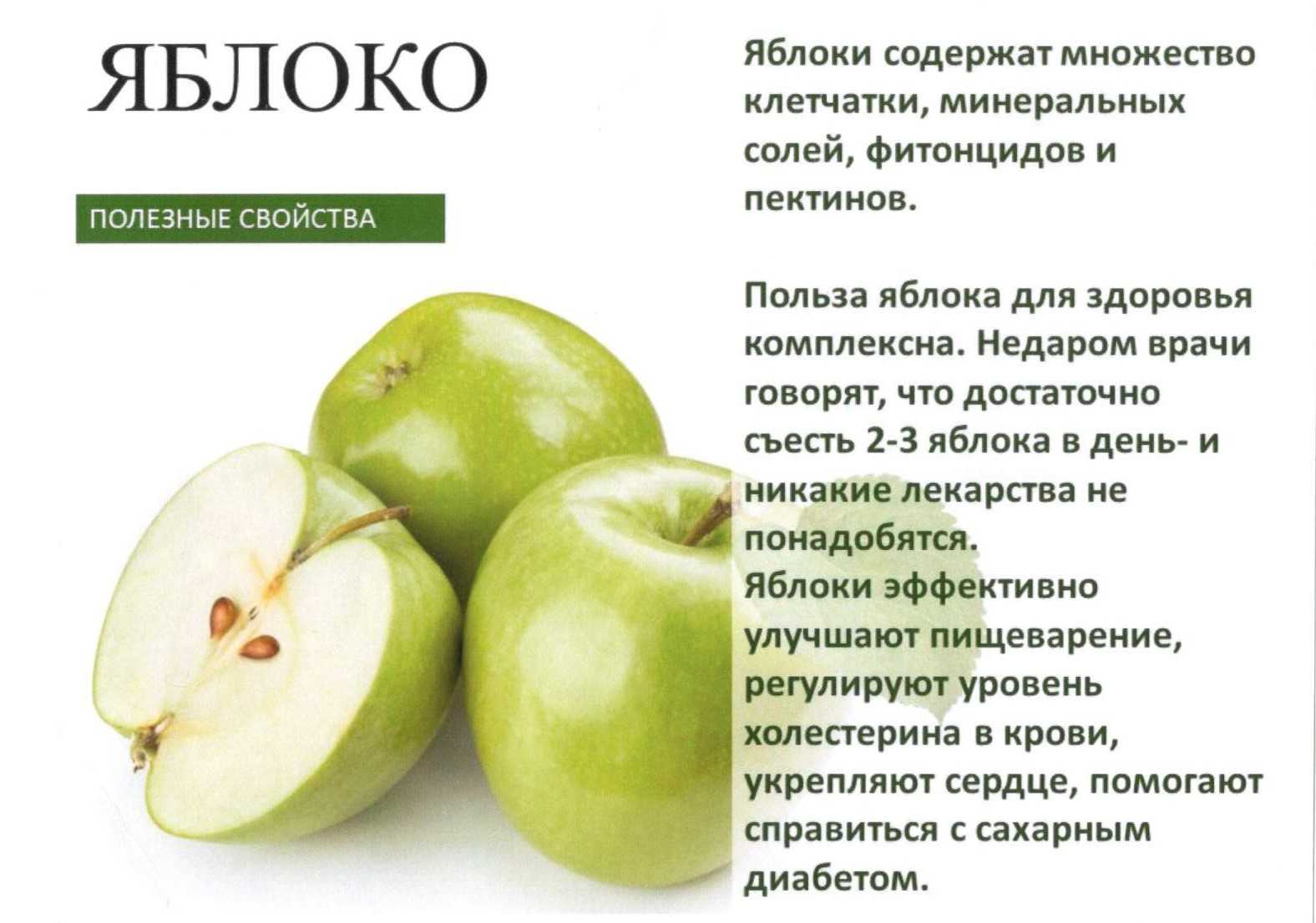 Можно ли похудеть на яблоках: польза и результаты диеты - allslim.ru