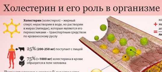Мифы о жирах, в которые срочно нужно прекращать верить