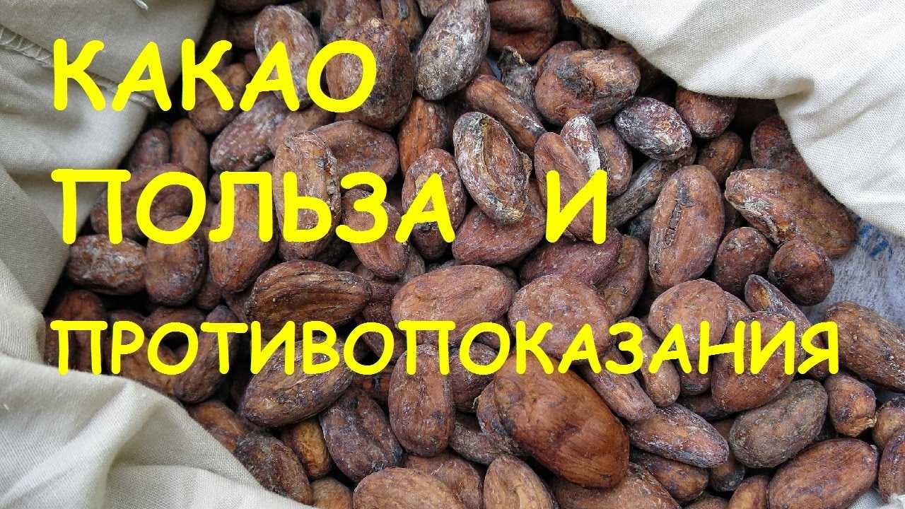 За что диетологи ценят какао и как правильно его пить
