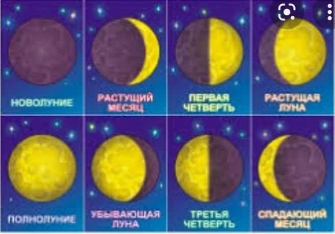 Влияние луны на человека (организм, психику)