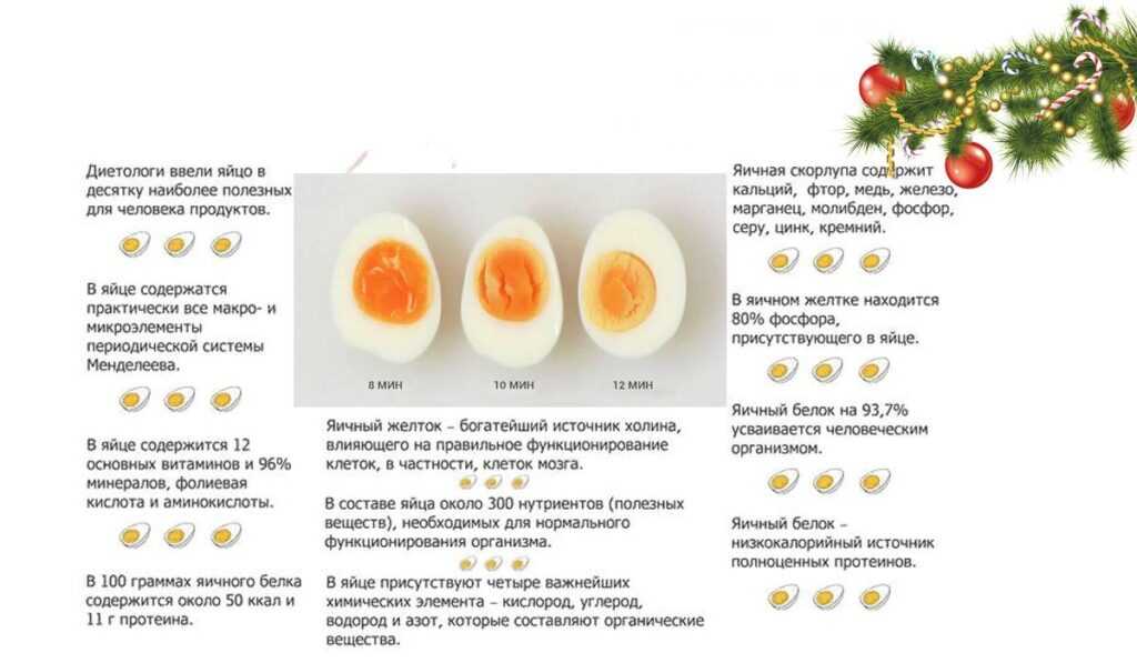 Яичная диета для похудения: меню, минусы, полезные отзывы и результаты похудевших | диеты и рецепты