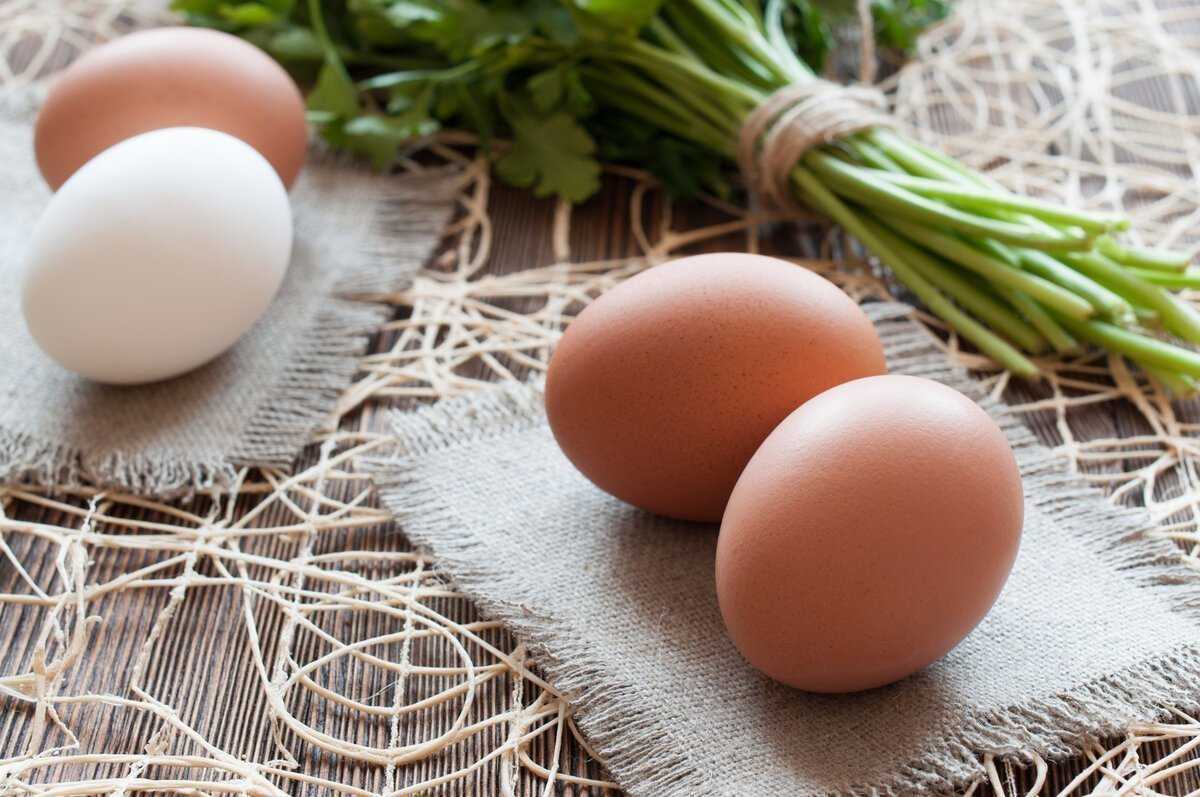 Белые или все-таки коричневые: какие яйца более полезны для здоровья