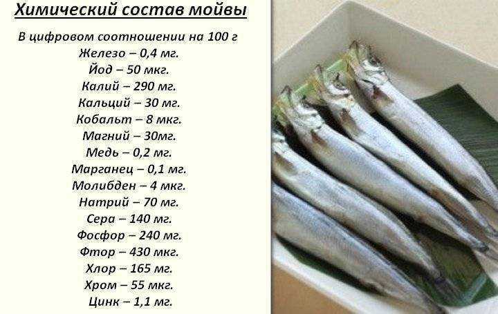 Минтай: польза и вред для здоровья организма, калорийность, фото