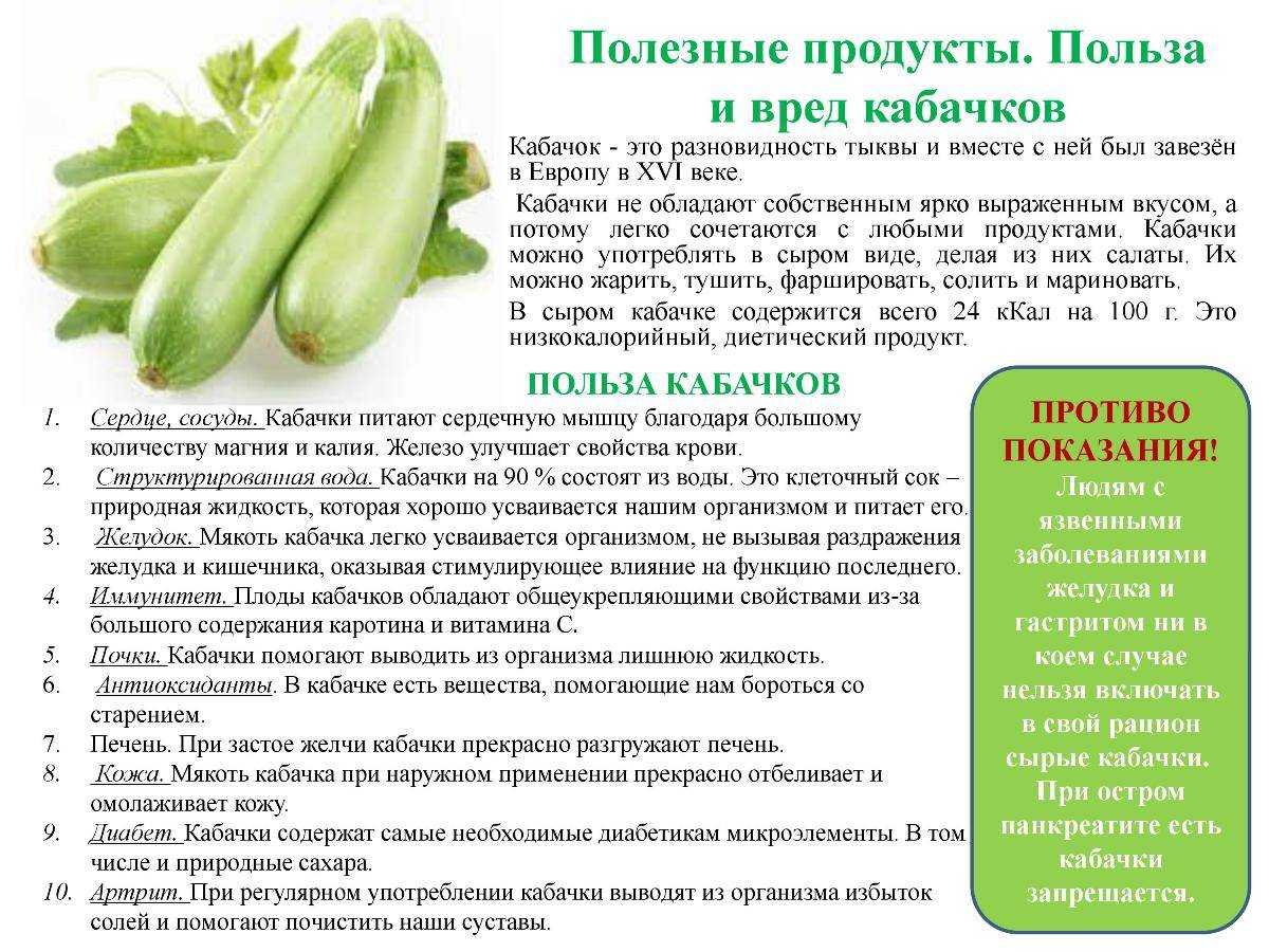 Кабачки — польза и возможный вред для здоровья | польза и вред