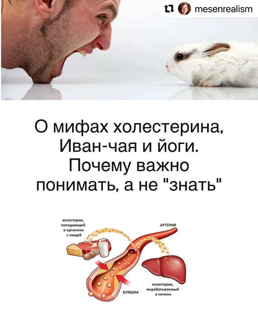 5 мифов о жирах, в которые давно пора перестать верить