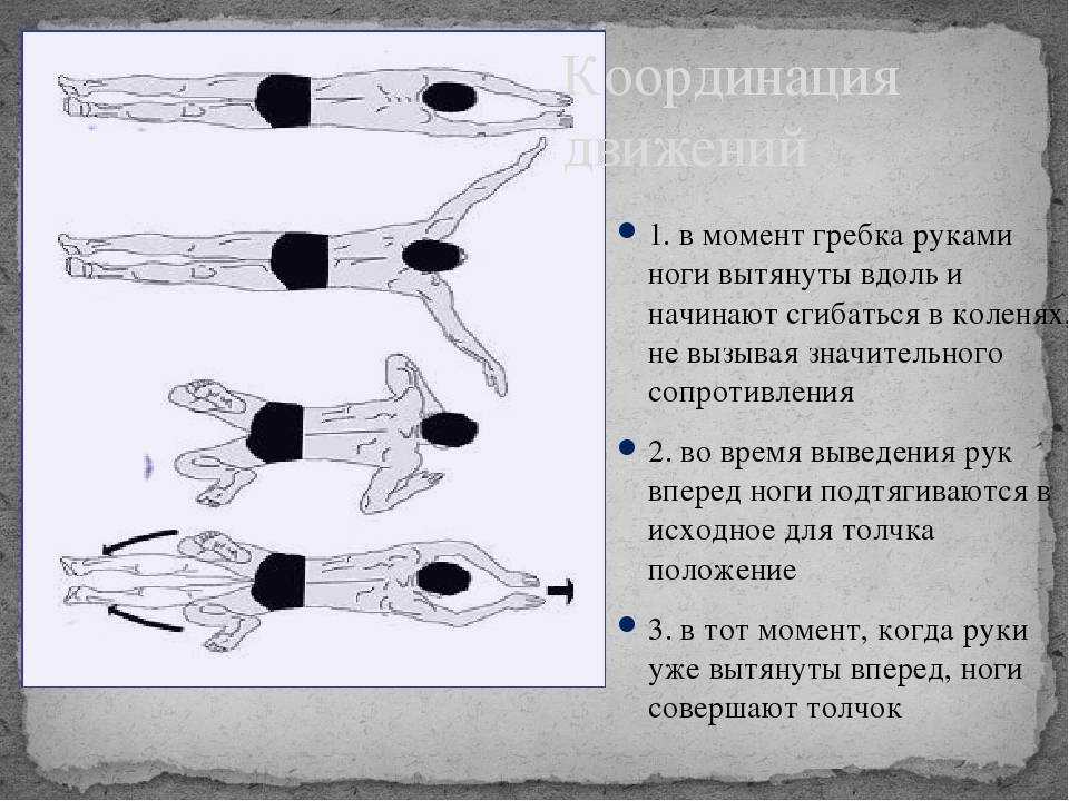 Тренажер-бабочка: на какие мышцы действует, упражнения, отзывы