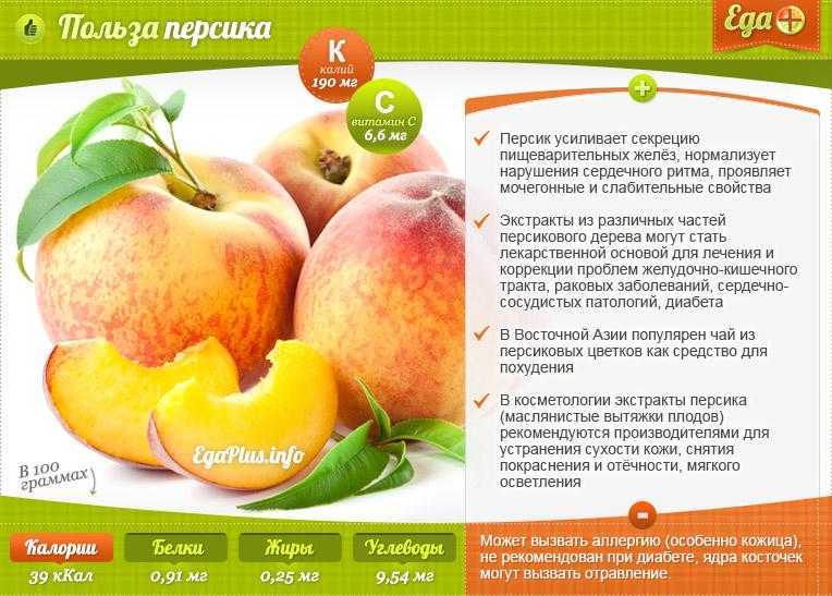Польза и вред персиков для организма человека