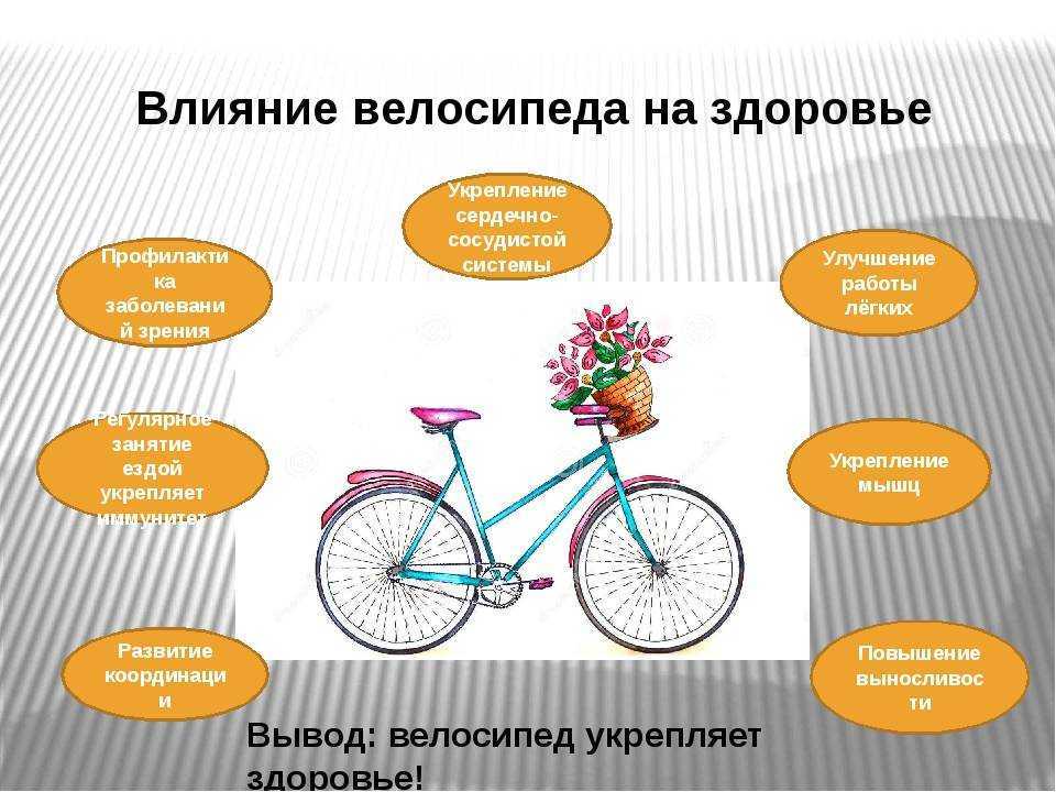 Базовая тренировка велосипедиста | веложурнал